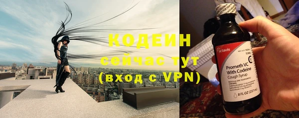 дживик Бородино