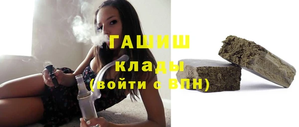 дживик Бородино