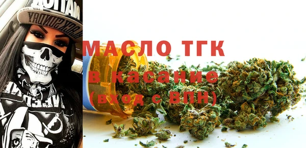 дживик Бородино
