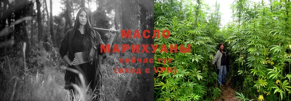 дживик Бородино