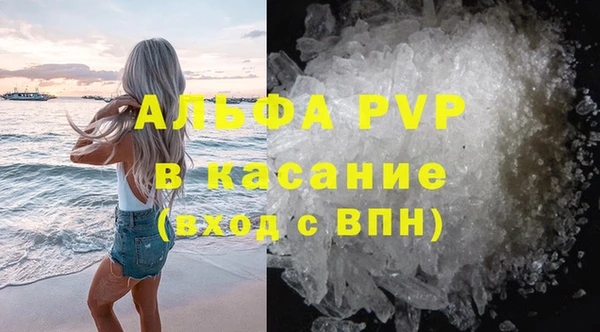 дживик Бородино