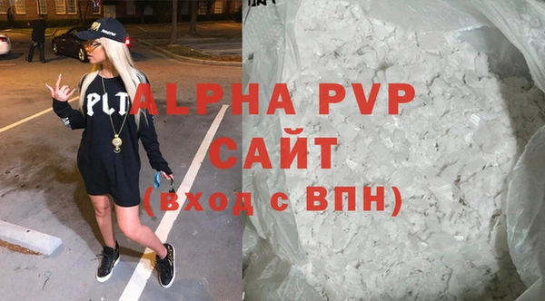 дживик Бородино