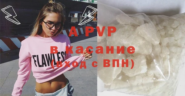 дживик Бородино