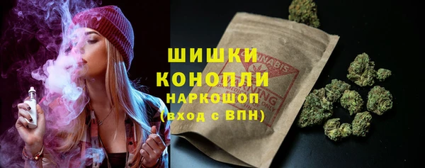 дживик Бородино