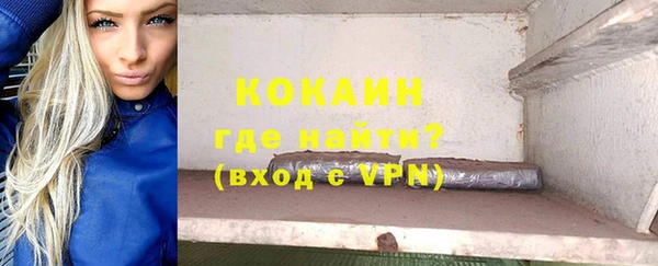 дживик Бородино