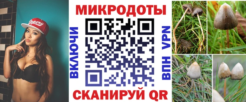 Псилоцибиновые грибы Psilocybe  что такое   Новый Оскол 