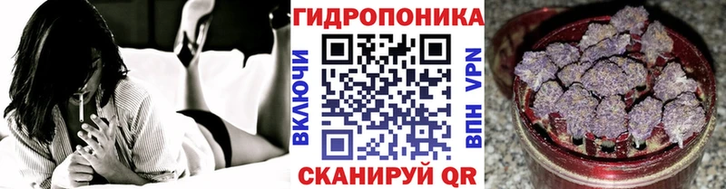 Бошки Шишки марихуана  blacksprut ONION  Новый Оскол 